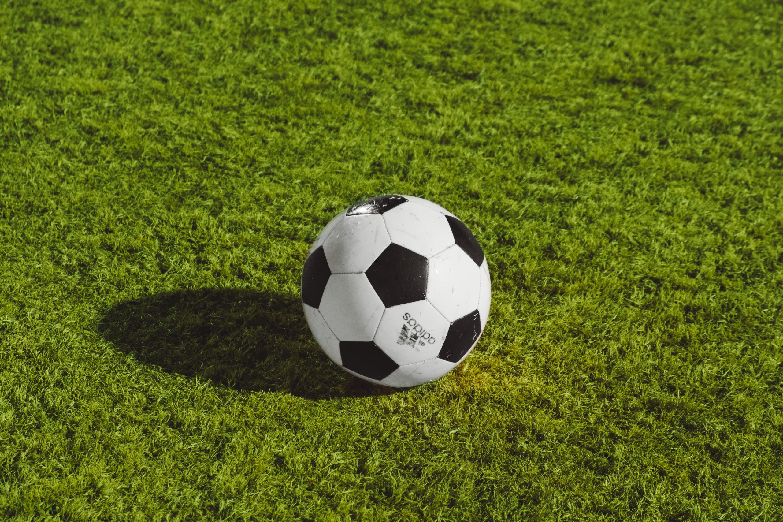 포르투갈 대 미국 : FIFA 여자 월드컵 포르투갈