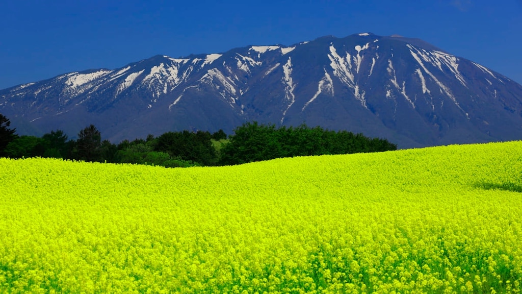 Iwate 산을 방문하기에 10 개의 좋은 장소