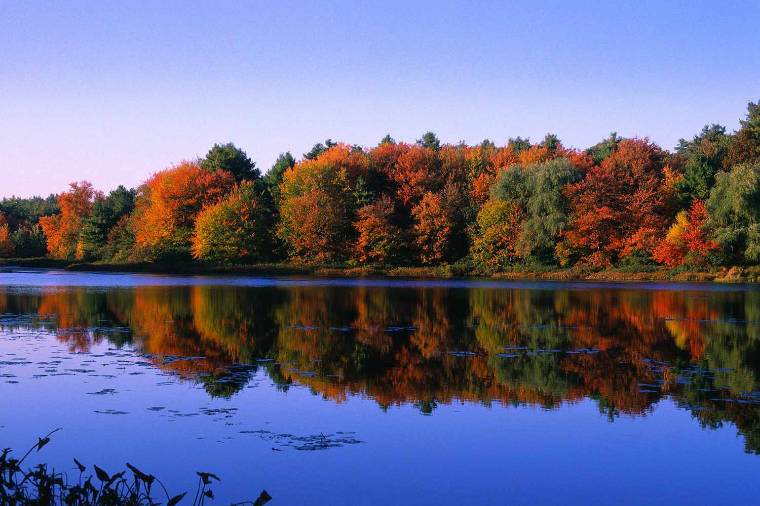 Walden Pond State Reservation : 완전한 가이드