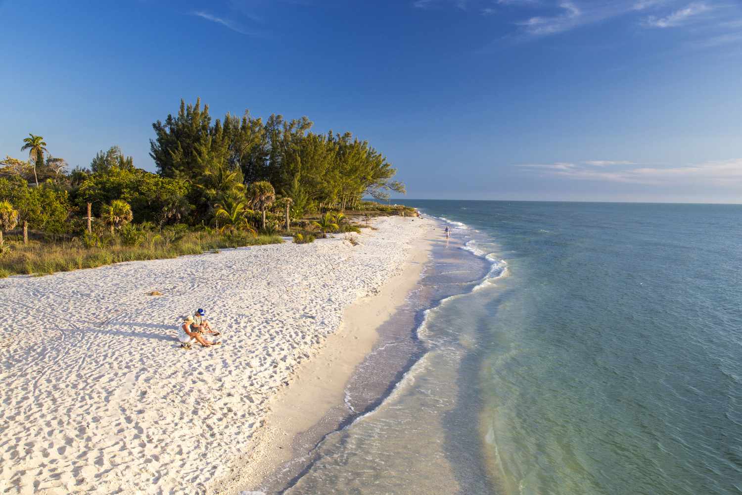 Sanibel Island에서 할 수있는 12 가지 최고의 어린이 친화적 인 일